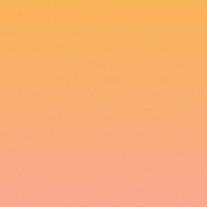 Meet your Posher, Elsa